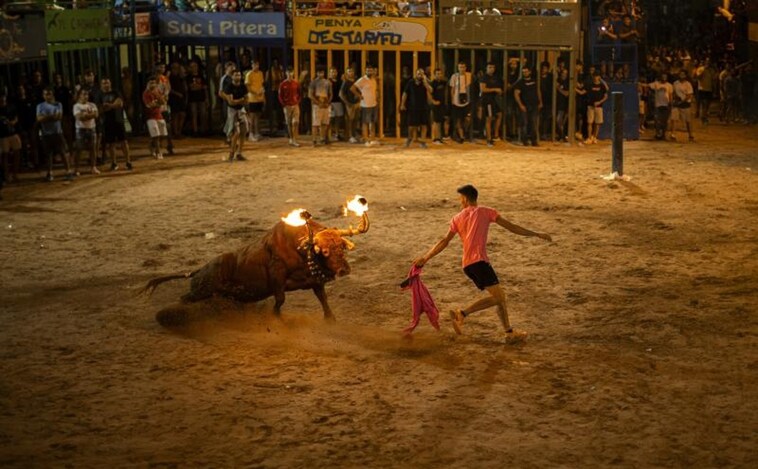 La prensa británica se hace eco de la alarma por las muertes en festejos taurinos en la Comunidad Valenciana