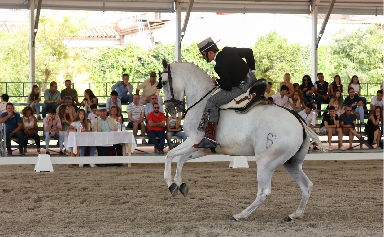 En imágenes, la IV Copa de España de Doma Vaquera en Córdoba