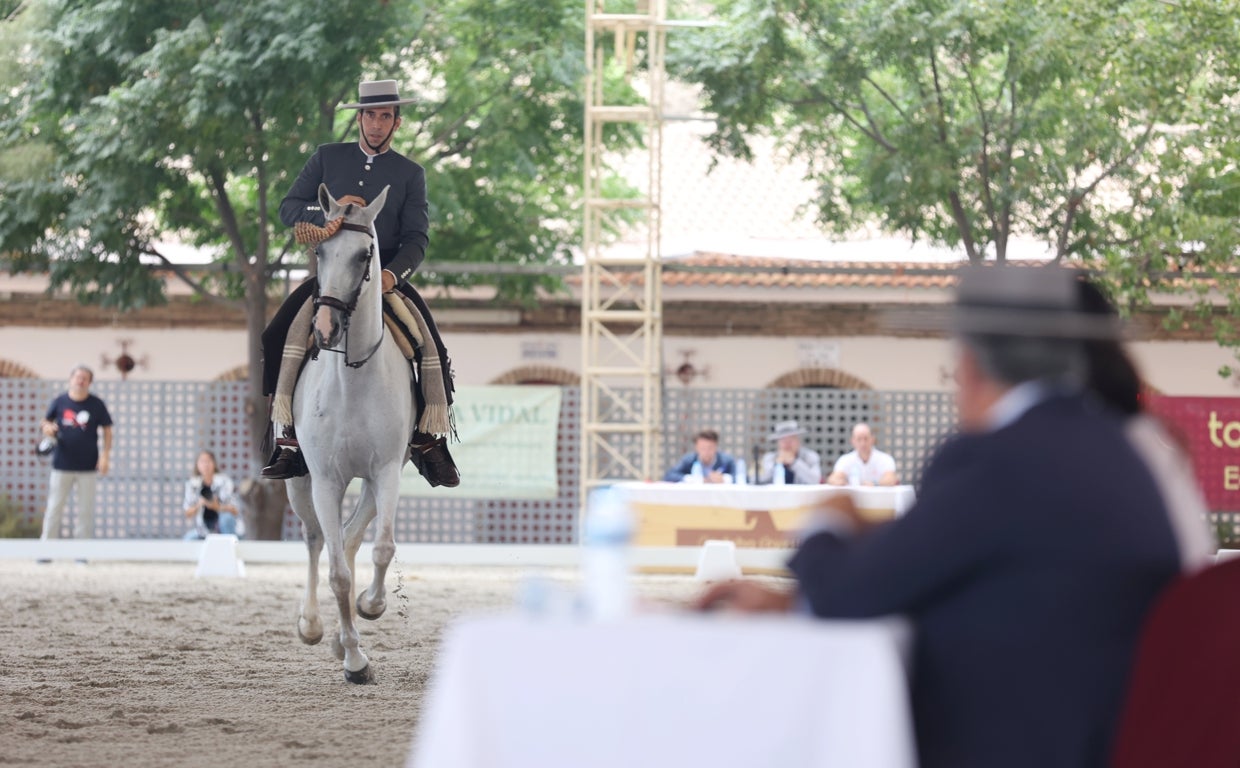 Fase clasificatoria de la Copa de España de Doma Vaquera