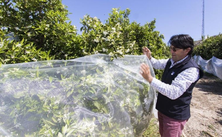 Los agricultores ven «populista» la medida de Yolanda Díaz: «No va a 'topar' los precios, va a embestir al sector»