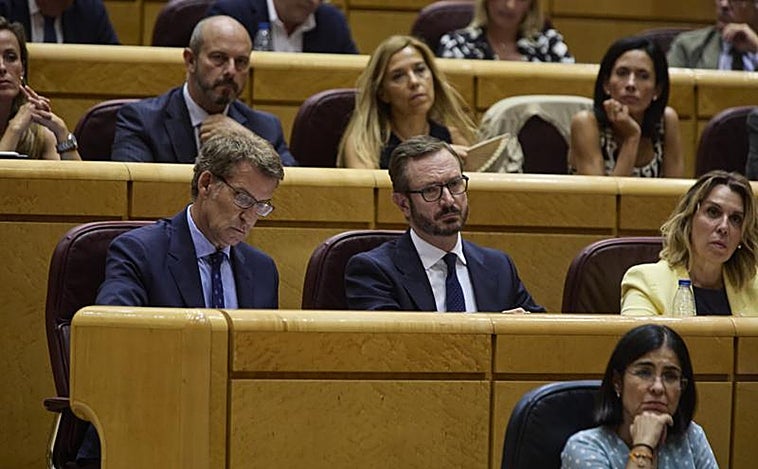 Debate entre Pedro Sánchez y Feijóo en el Senado, en directo