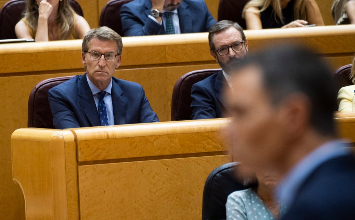 El líder del PP, Alberto Núñez Feijóo, observa a Pedro Sánchez desde su escaño.