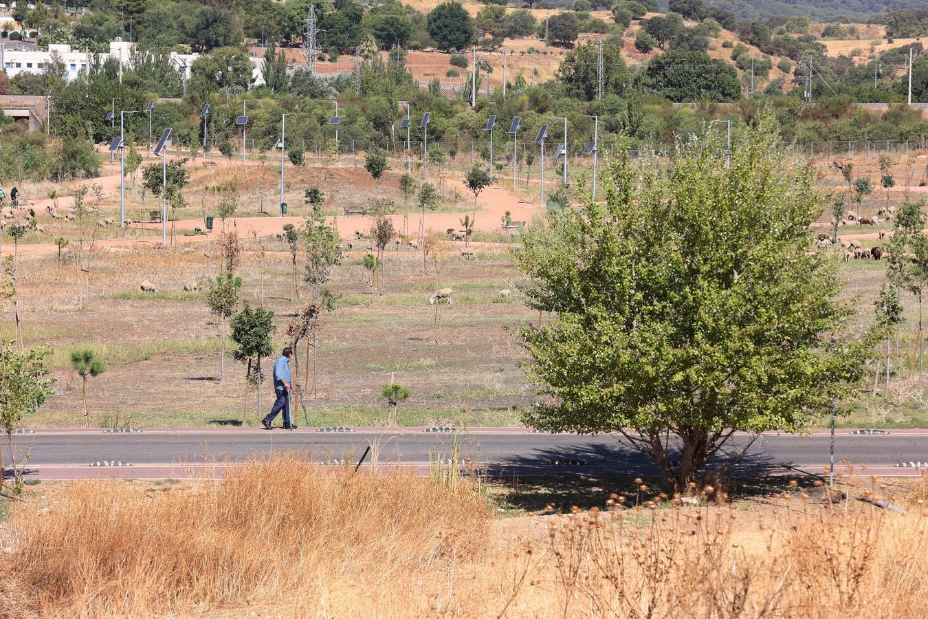 La evolución del nuevo parque de Levante de Córdoba, en imágenes