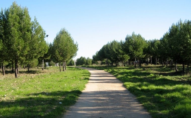 Detenido el presunto autor de un incendio en el parque de El Cerro de Coslada cuando trataba de escapar