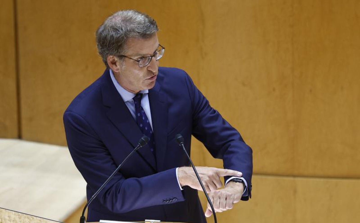 El presidente del PP, Alberto Núñez Feijóo, en el Senado