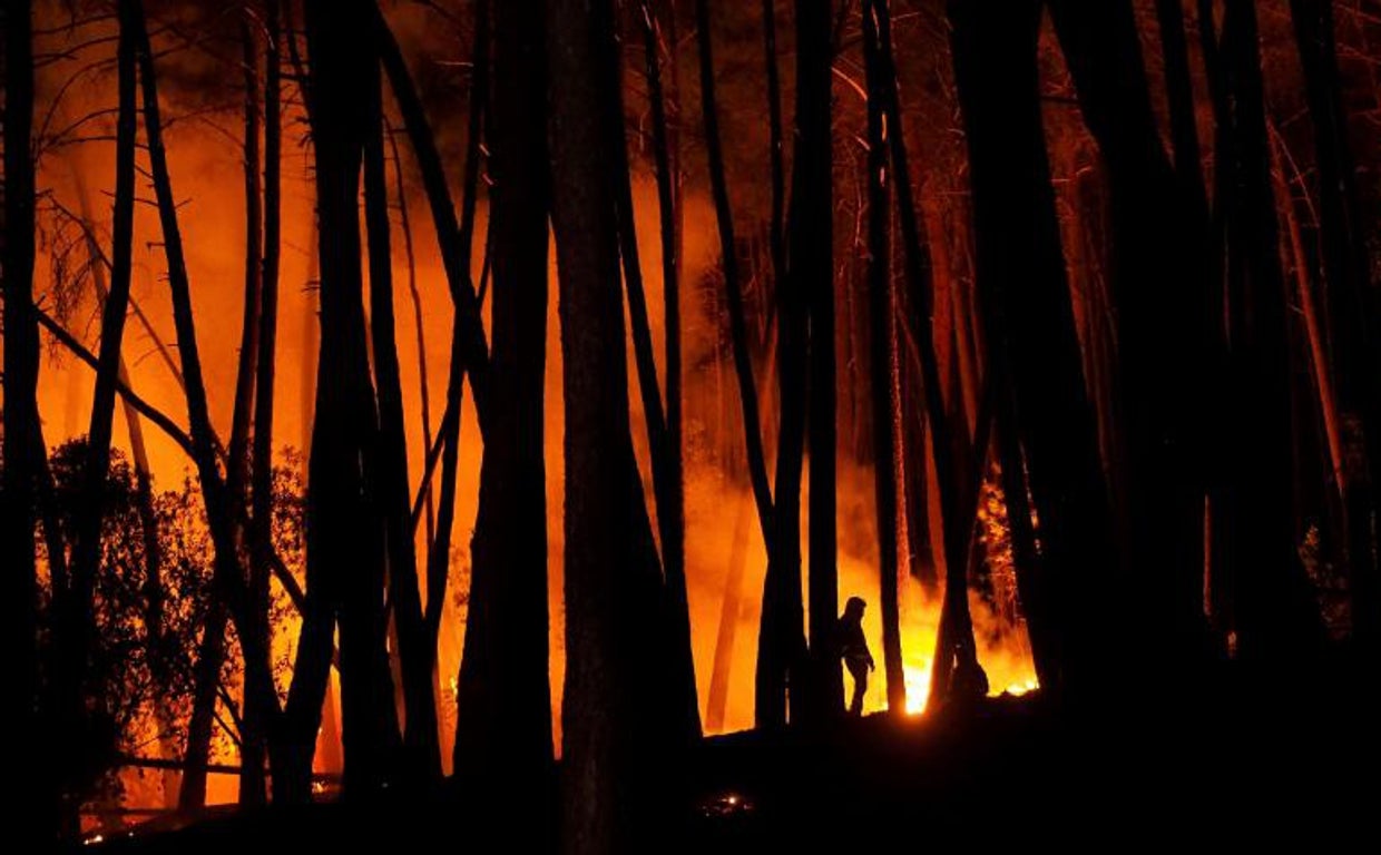 Incedio en Ribas de Sil en el verano del año pasado, provocado presuntamente por uno de los detenidos