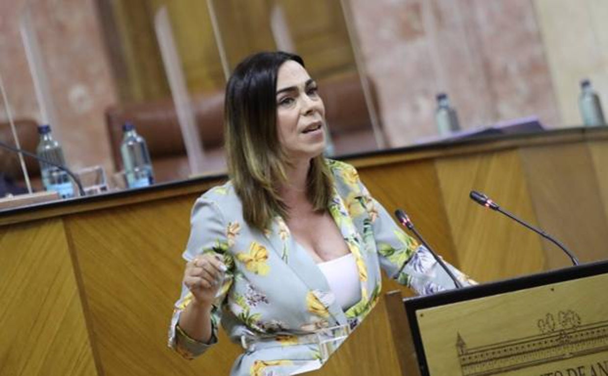 Teresa Pardo, en una de sus intervenciones en el Parlamento andaluz