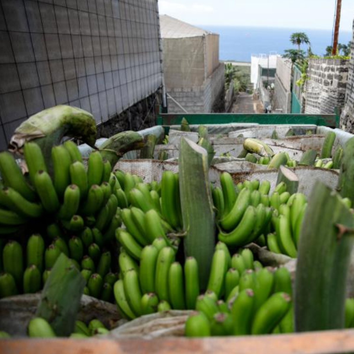 Empresarios de La Palma advierten que la economía de la isla está «en un agujero»