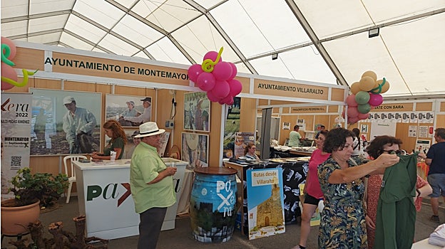 Carpa donde se celebra la feria Paxera