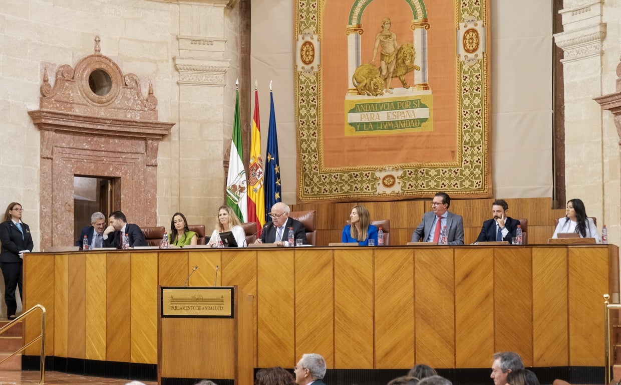 Imagen de la Mesa del Parlamento con la representante de Podemos, Alejandra Durán a la derecha.