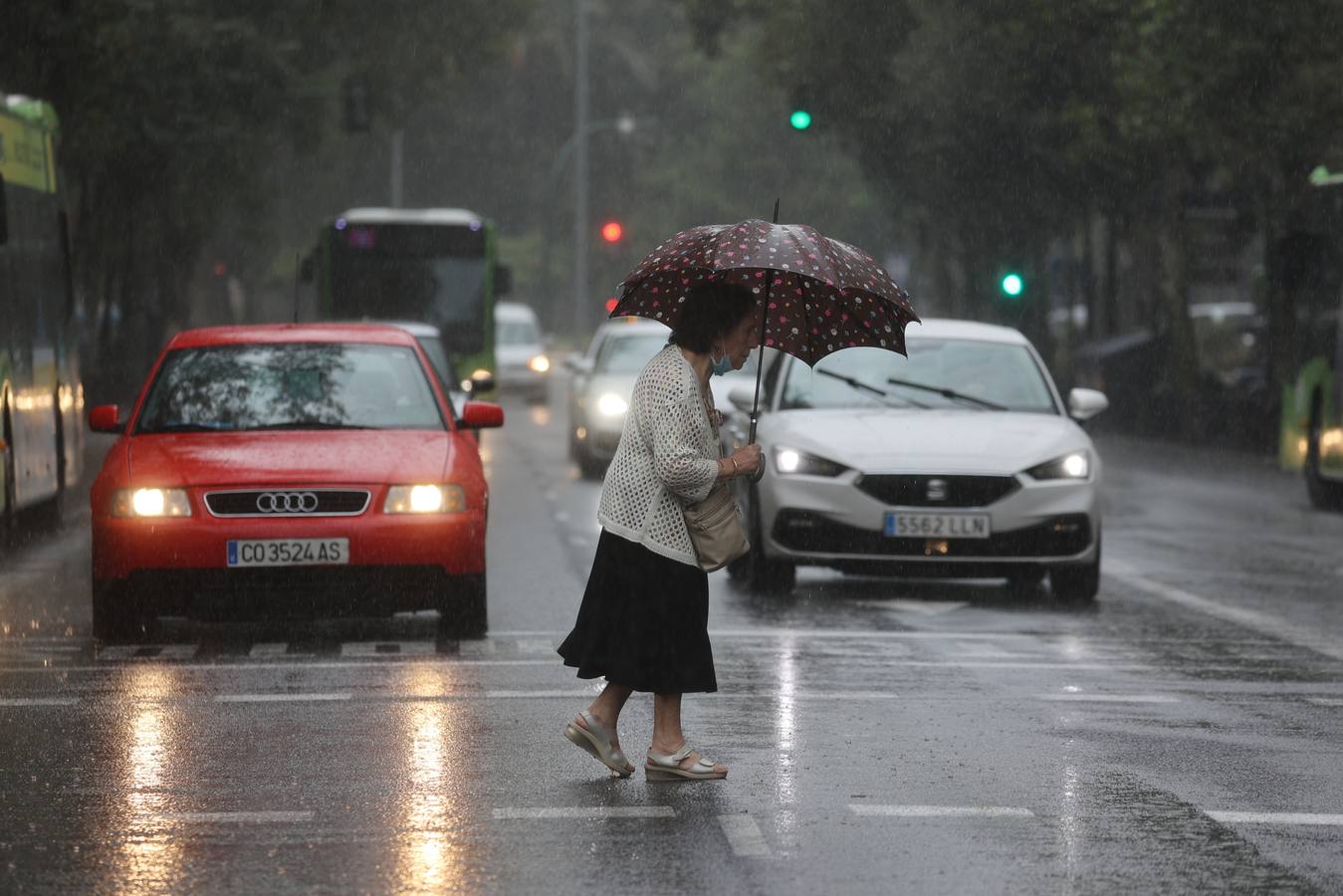 La ansiada lluvia vuelve a Córdoba, en imágenes