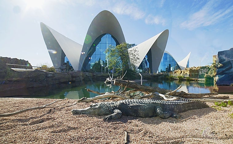 La Fundación Oceanogràfic ingresa en el Comité Español de la Unión Internacional para la Conservación de la Naturaleza