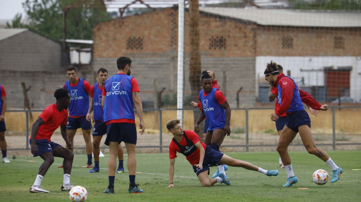 El Córdoba CF, a por la cuarta victoria seguida ante el Rayo Majadahonda