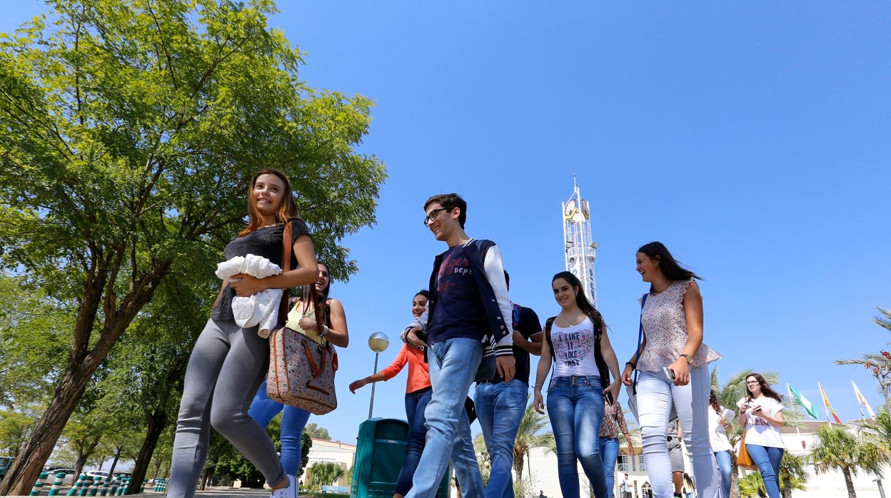 La Universidad de Córdoba mantiene aún 364 plazas de 16 grados disponibles