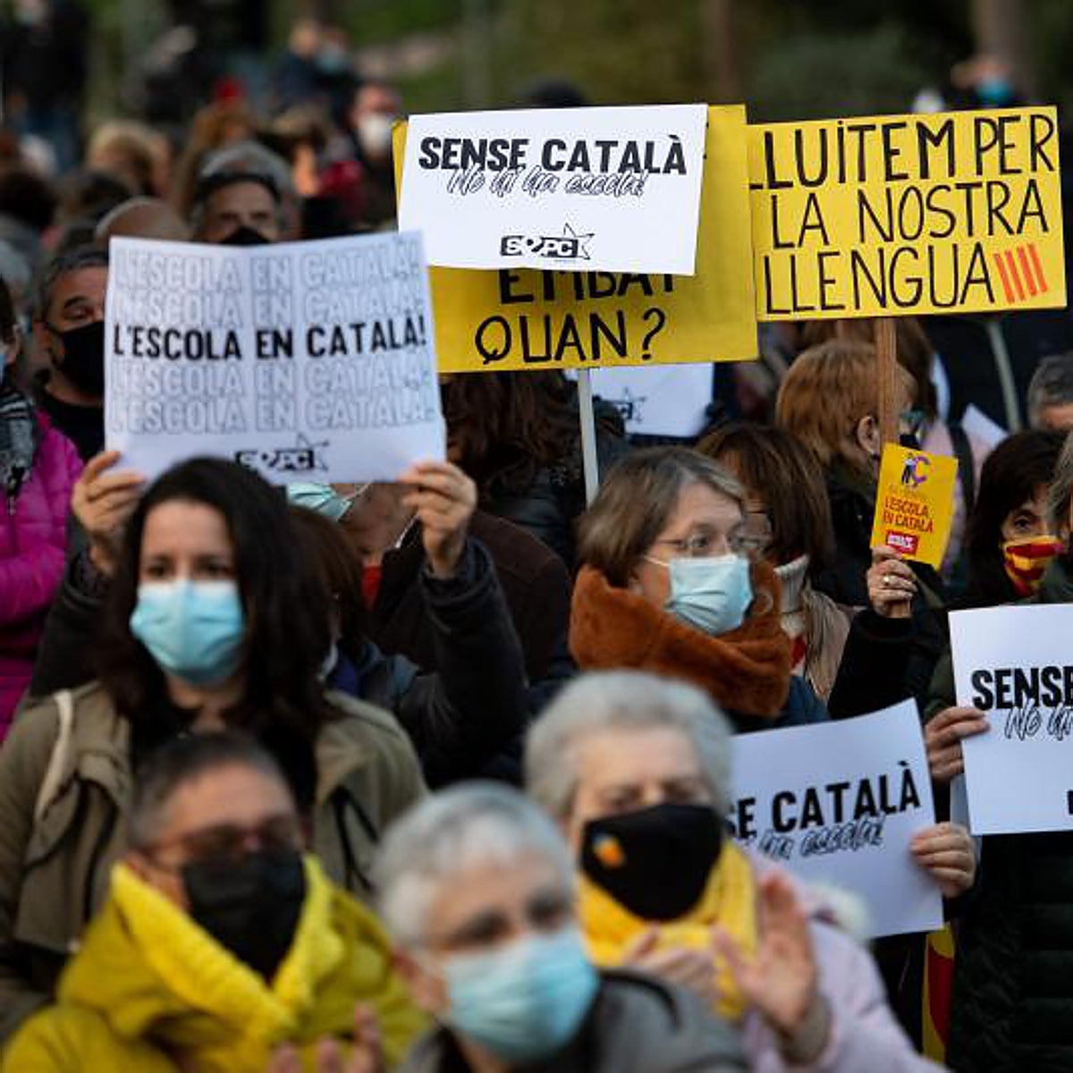 El TSJC mantiene el 25% en dos centros y advierte al Govern de que solo un tribunal puede revocar las resoluciones lingüísticas