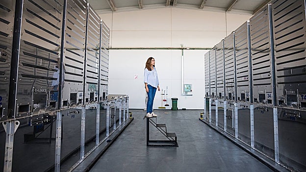 Claudia Calzada, directora general corporativa del Grupo IberoPistacho