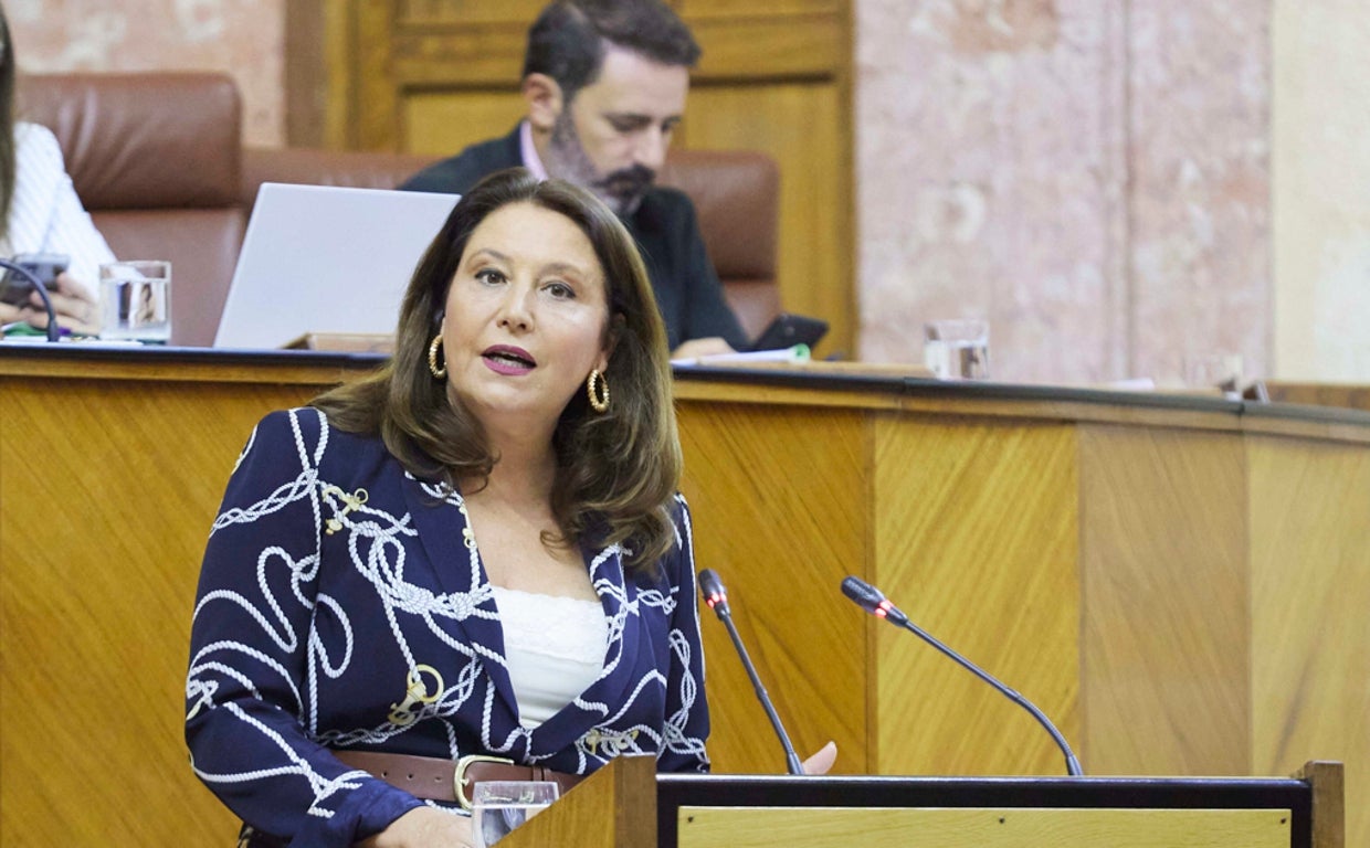 La consejera Carmen Crespo, en una intervención en el Parlamento andaluz