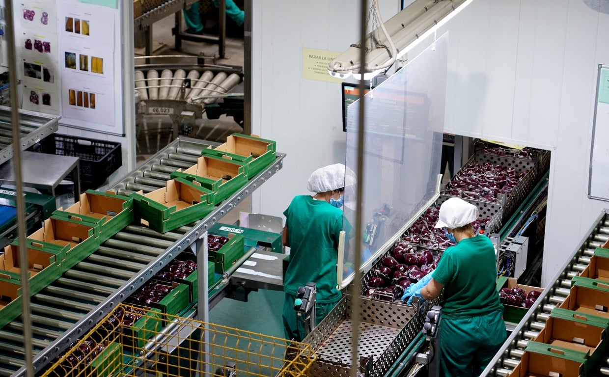 Un estudio destaca el dinamismo del medio rural, especialmente en sectores como la agroindustria