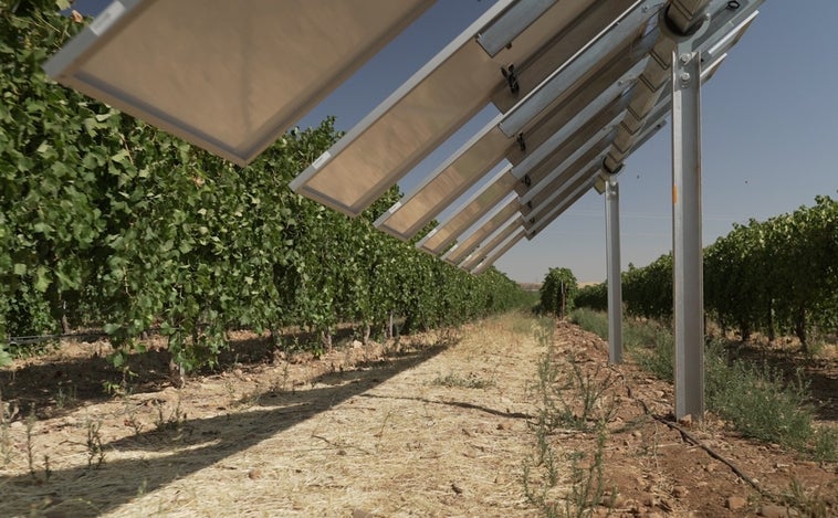 Iberdrola pone en marcha en Toledo la primera planta agrovoltaica inteligente de España