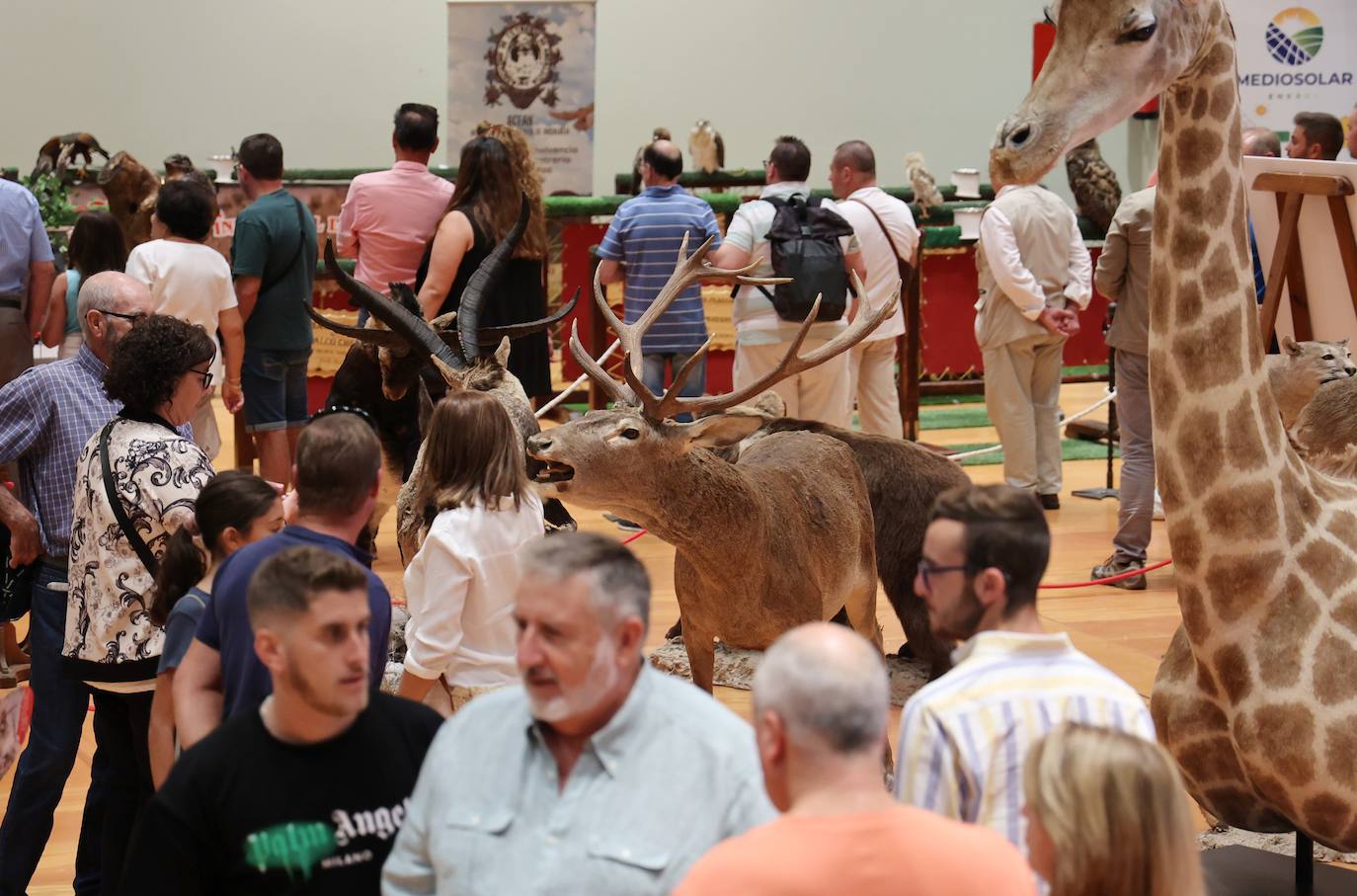 La feria Intercaza de Córdoba, en imágenes