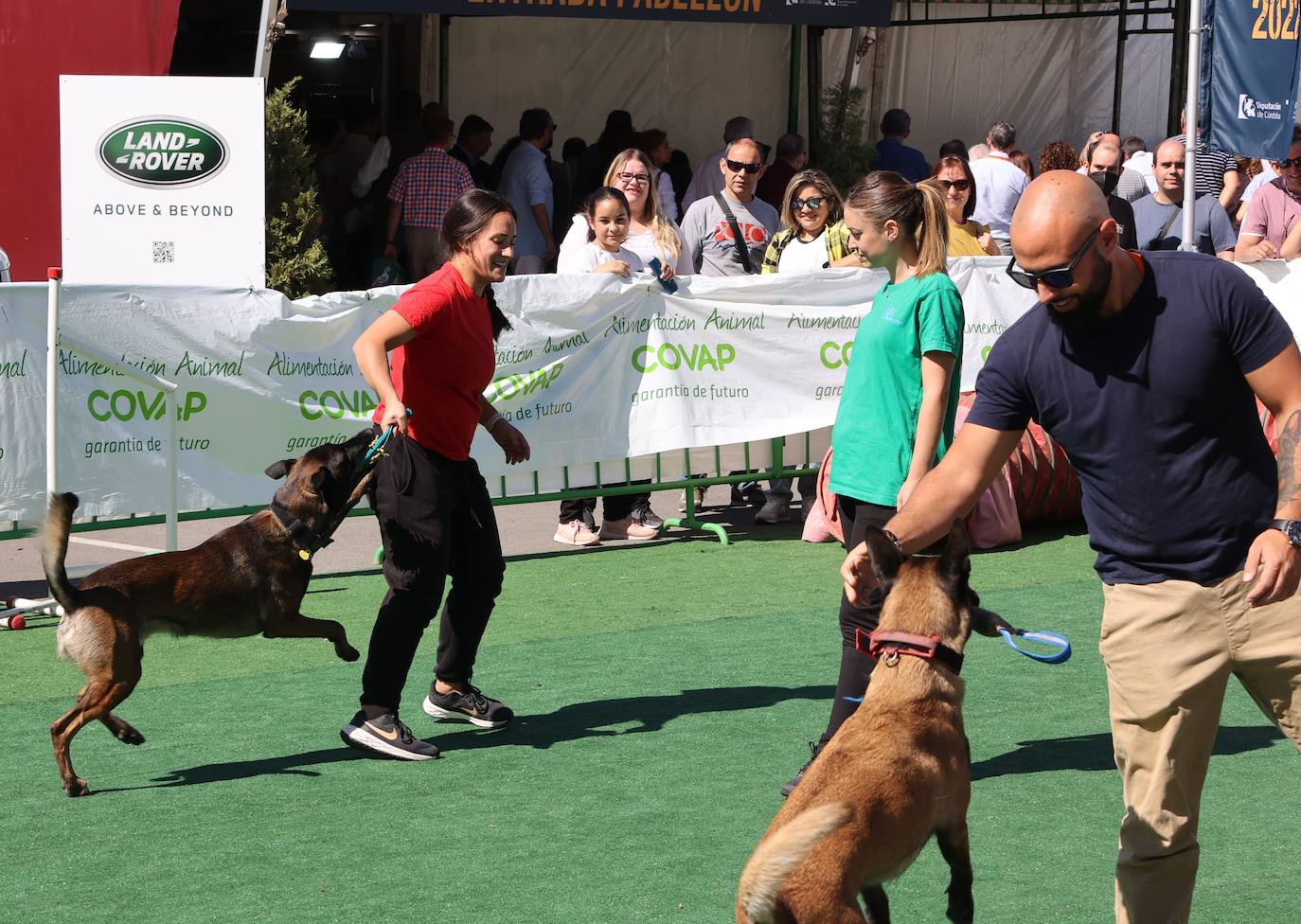 La feria Intercaza de Córdoba, en imágenes