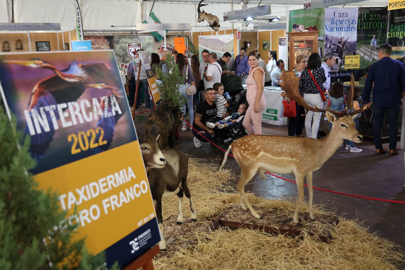La feria Intercaza de Córdoba, en imágenes