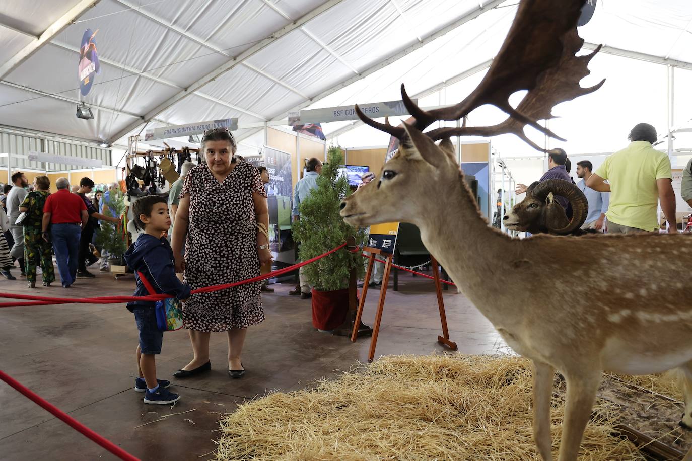 La feria Intercaza de Córdoba, en imágenes