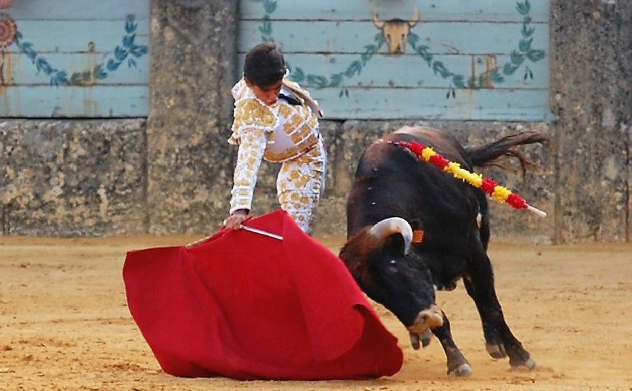 El novillero en plena faena