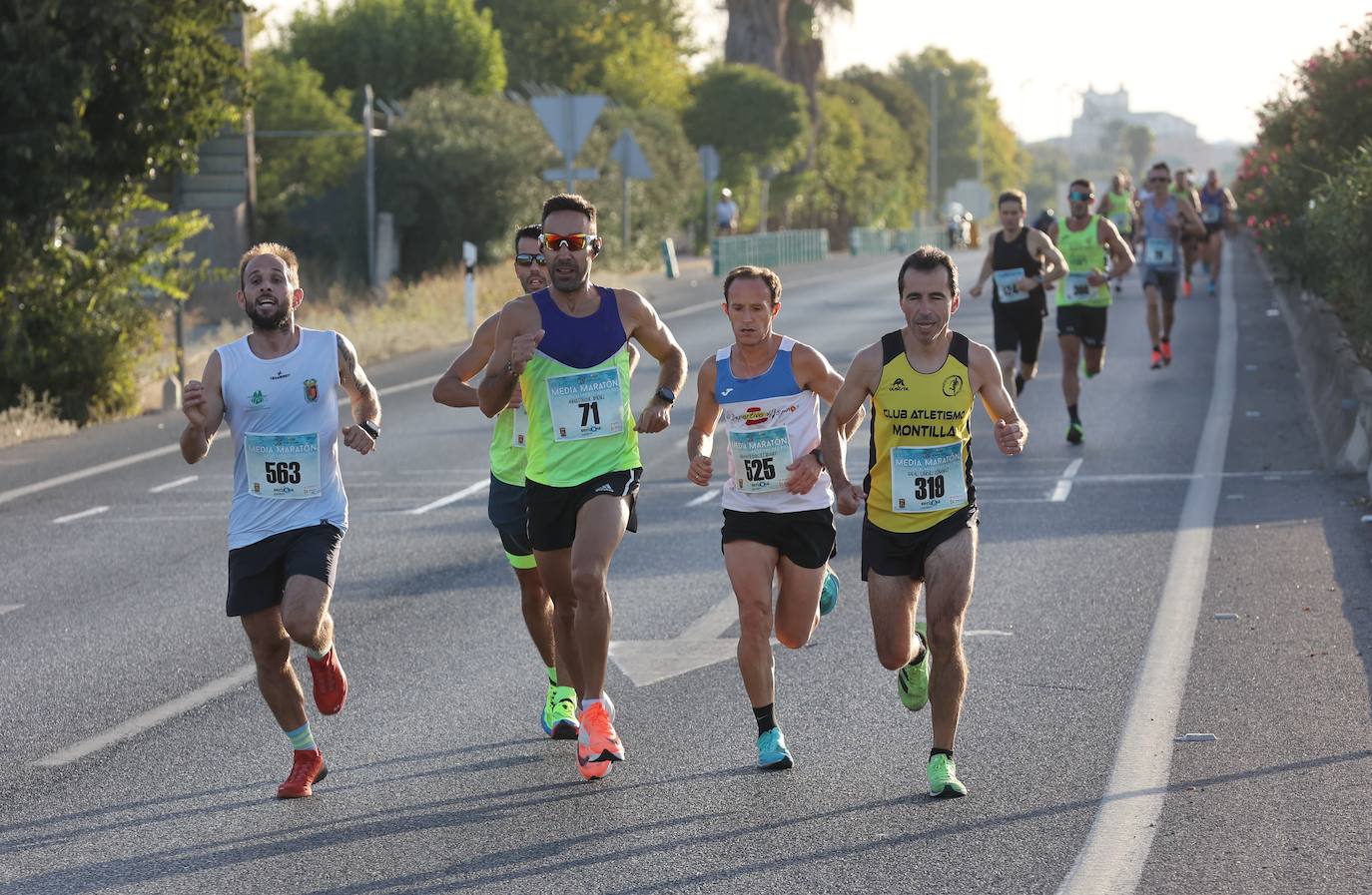 La Media Maratón Córdoba - Almodóvar, en imágenes