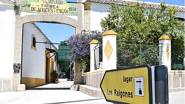 De la uva al vino: cinco lagares con solera y encanto turístico en Córdoba