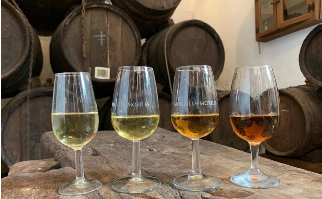 De la uva al vino: cinco lagares con solera y encanto turístico en Córdoba