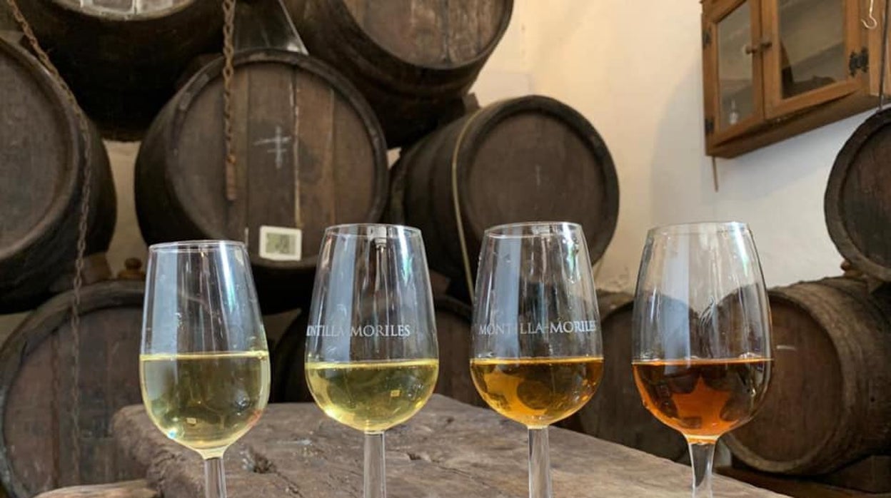 De la uva al vino: cinco lagares con solera y encanto turístico en Córdoba