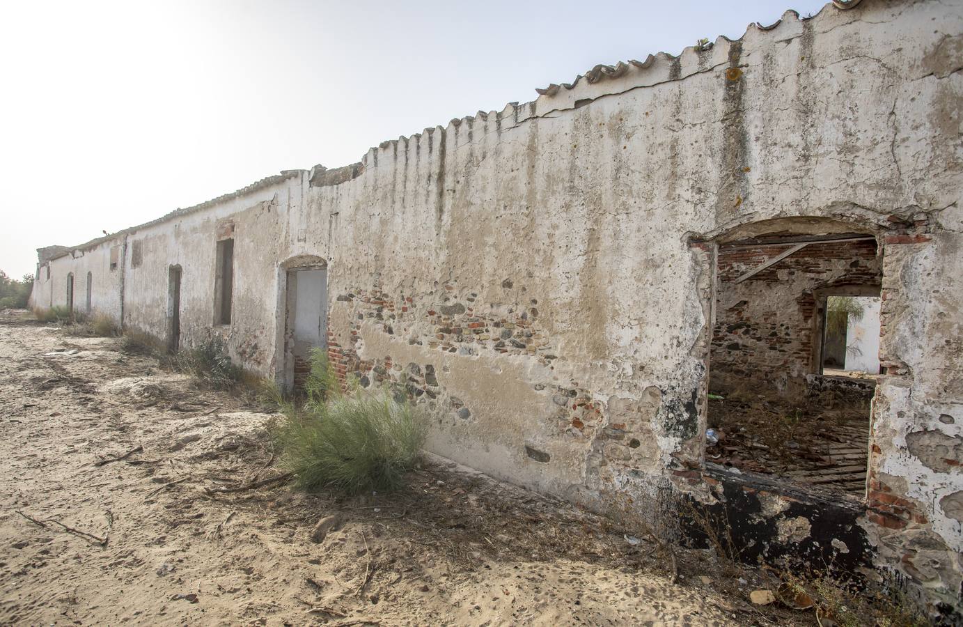 Almadraba de Nueva Umbría