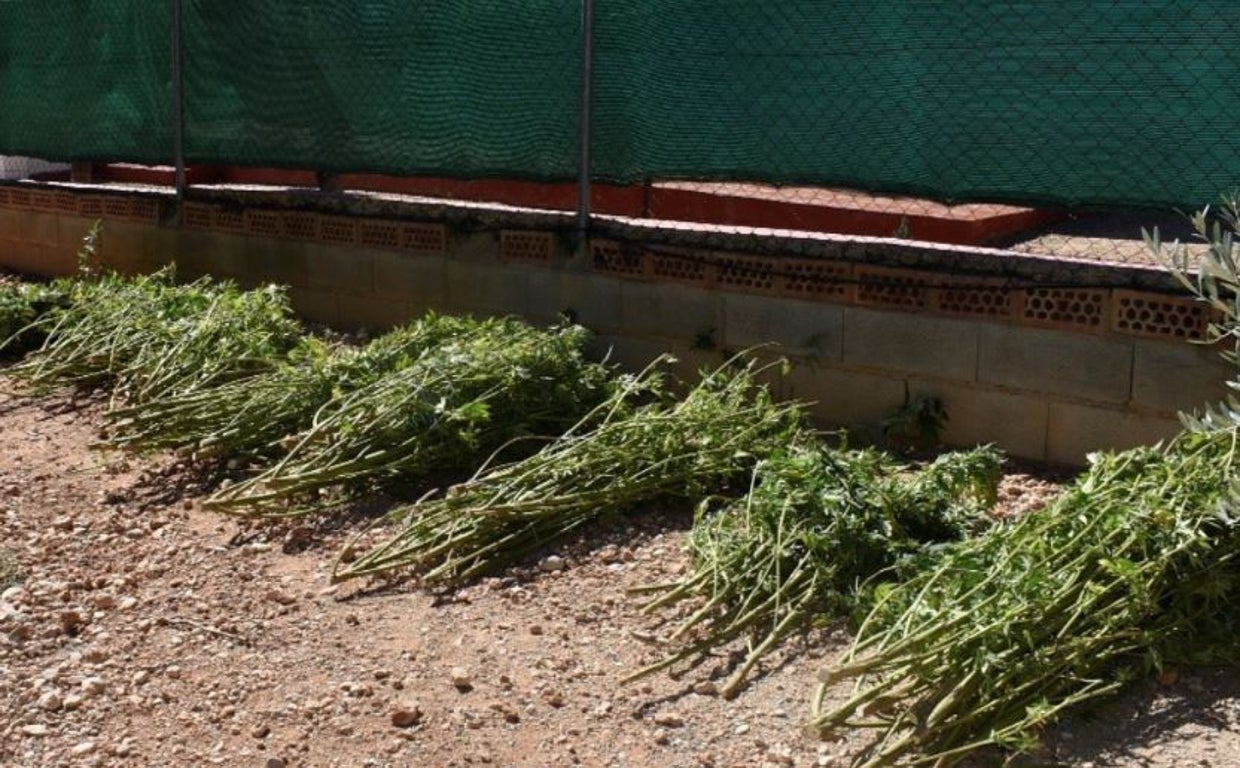 Tres detenidos en un 'narcoasalto' con escopetas en Tarragona