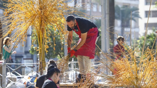 Todo lo que necesitas saber sobre el Festival Flora de Córdoba 2022