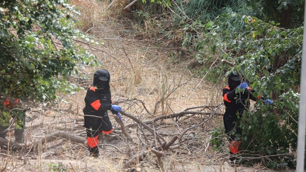 Operarios de Tragsa en las tareas de limpieza de los Sotos de la Albolafia