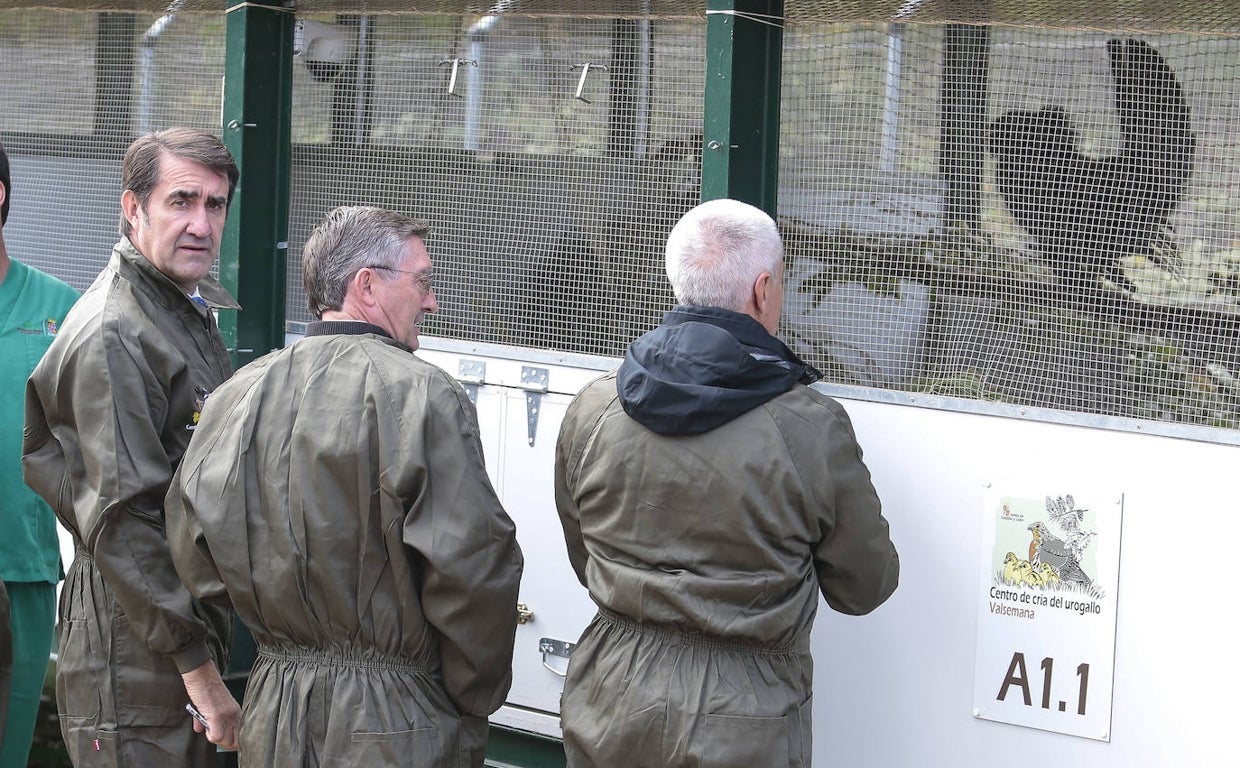 Más de 5,1 millones hasta 2026 en el Centro de Cría del Urogallo de León para revertir la extinción de la especie