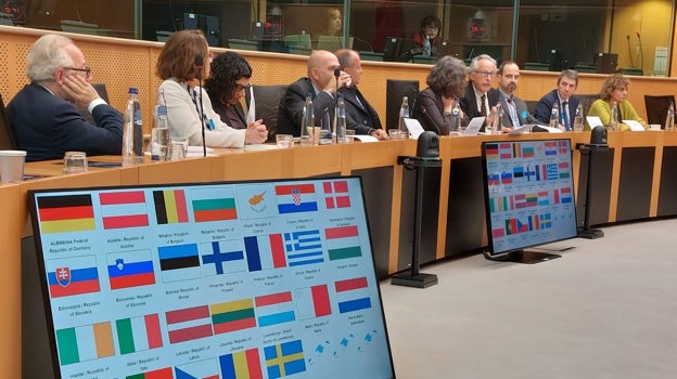 Intervenciones de los representantes de las asociaciones en el Parlamento Europeo.