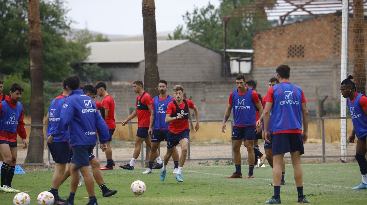 El Córdoba CF abrirá la jornada con la intención de dormir líder