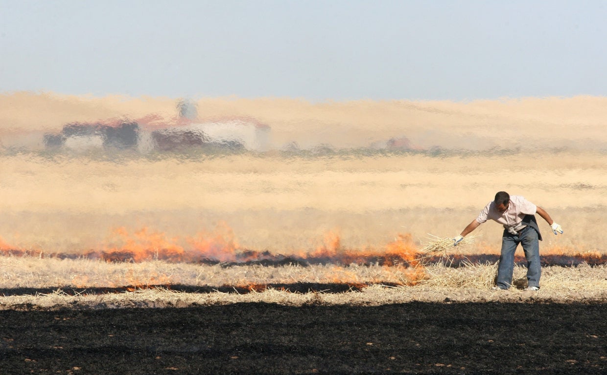Quema de rastrojos, con todas las de la ley