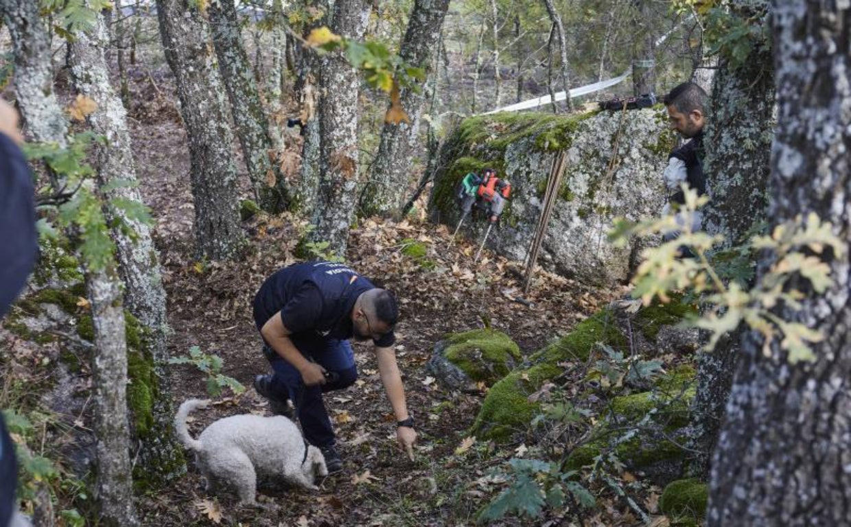 Un agente señala unoa de las zonas marcadas por el perro en el paraje de Navalacruz (Ávila)