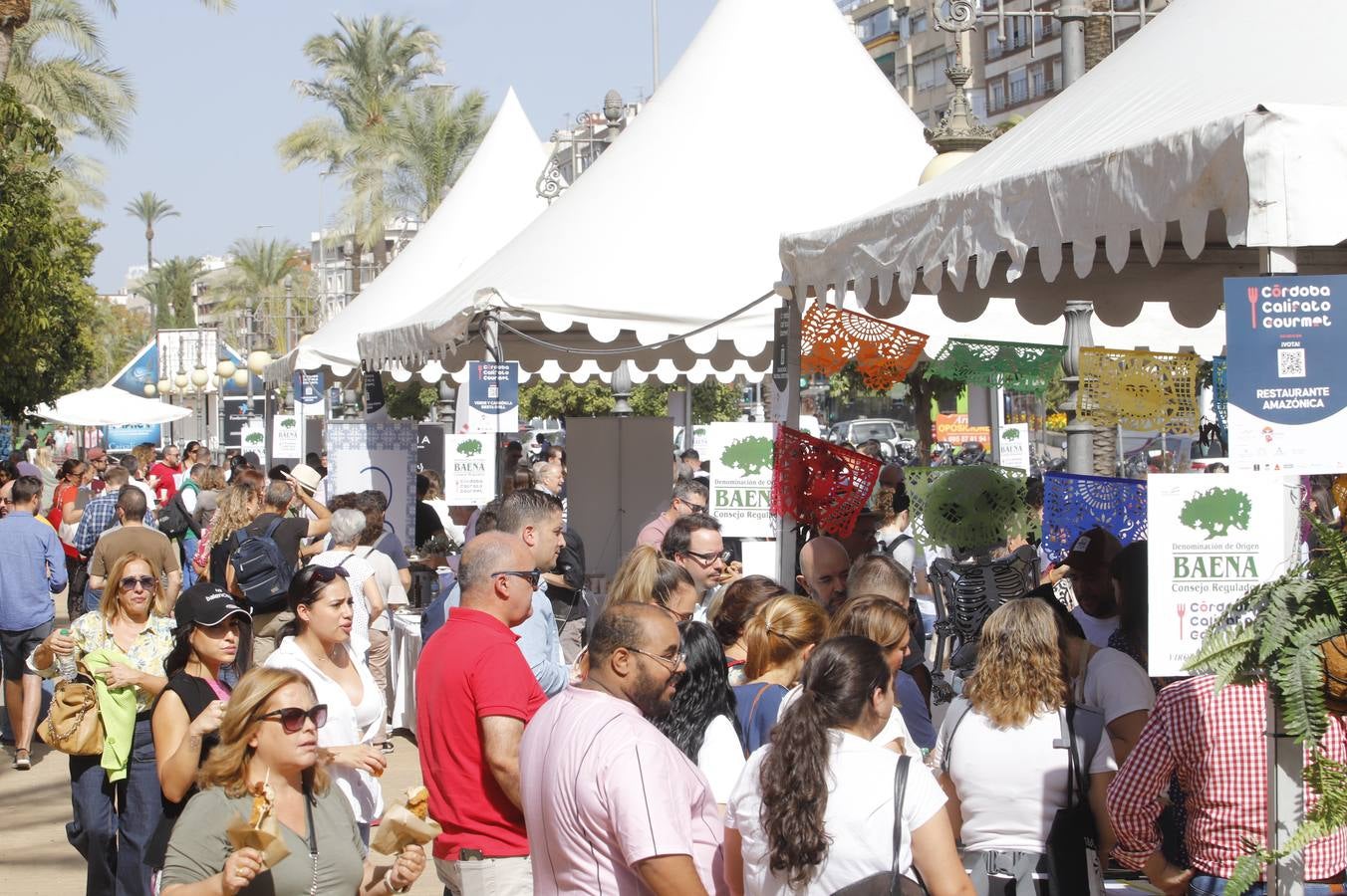 Las mejoras tapas de Córdoba en la calle, en imágenes