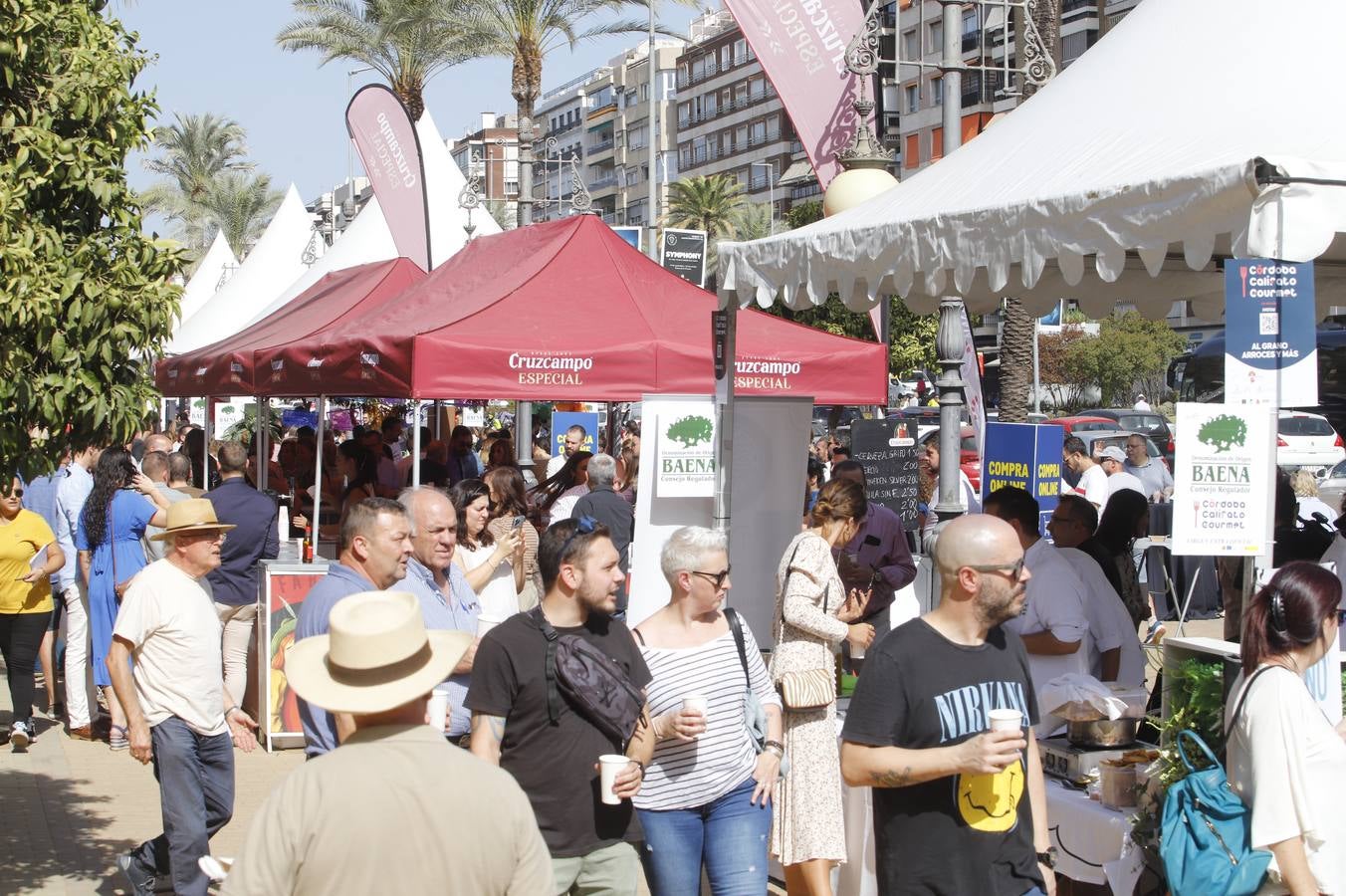 Las mejoras tapas de Córdoba en la calle, en imágenes