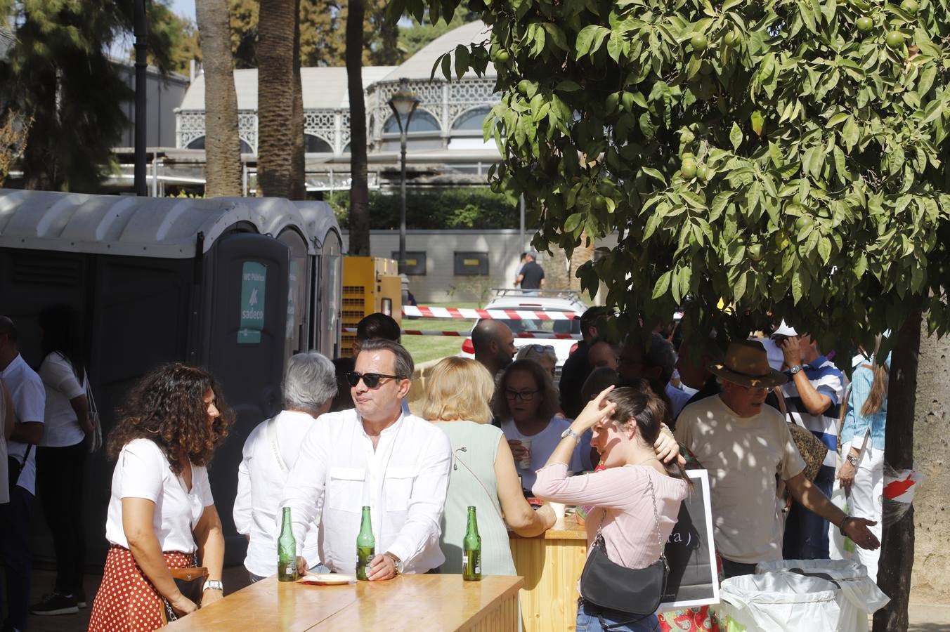 Las mejoras tapas de Córdoba en la calle, en imágenes