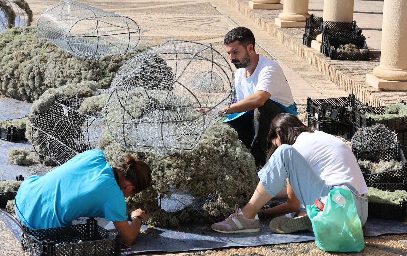 Festival Flora Córdoba 2022 | El montaje de las instalaciones, en imágenes