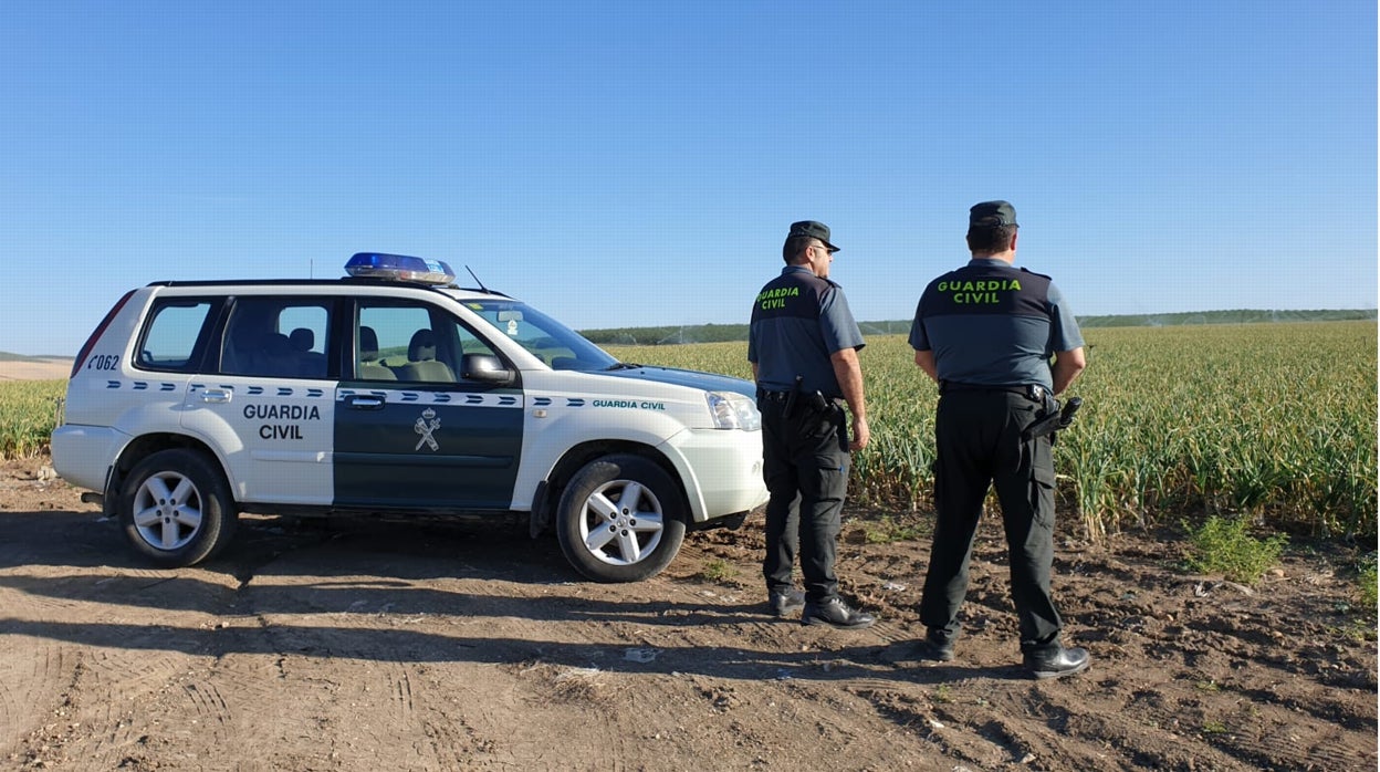 La Guardia Civil denunció o investigó a 139 personas hasta el pasado agosto por robos en el campo