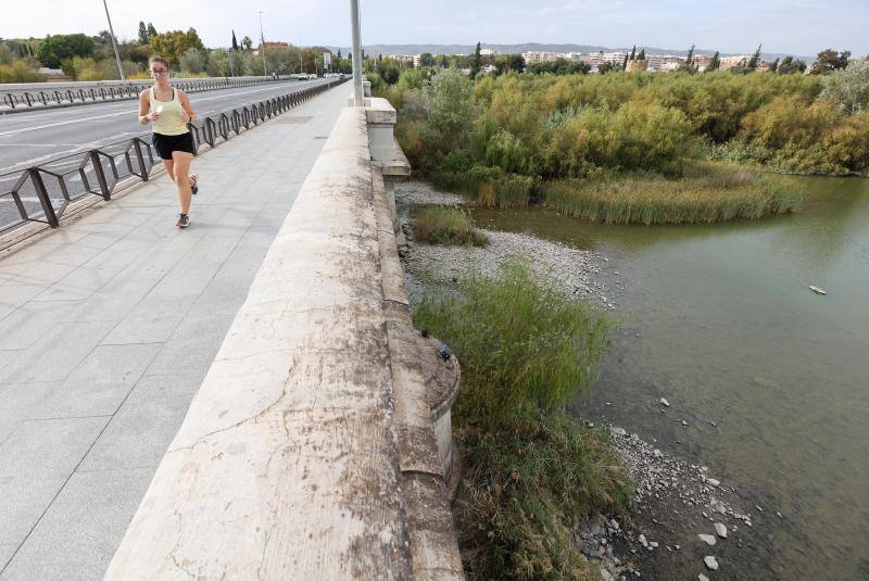 La sequía del Guadalquivir a su paso por Córdoba, en imágenes