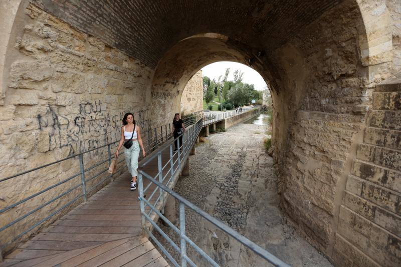 La sequía del Guadalquivir a su paso por Córdoba, en imágenes