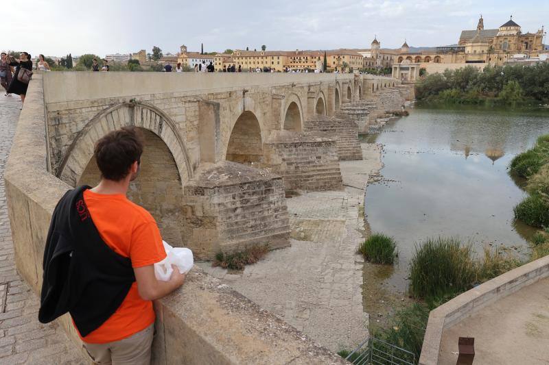 La sequía del Guadalquivir a su paso por Córdoba, en imágenes