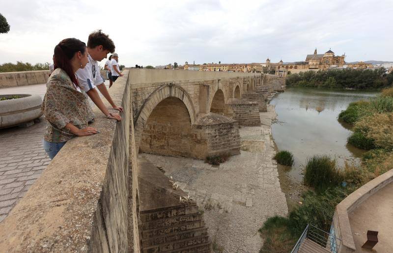 La sequía del Guadalquivir a su paso por Córdoba, en imágenes